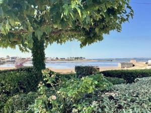 Villas Plouharnel : Maison 7 pieces, 10 pers, Wifi, Animaux admis - FR-1-477-260 : photos des chambres