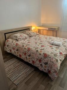 Appartements Tres bel appartement en plein coeur de Reims : photos des chambres