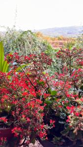 Shantidarshan Homestay