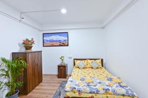Mountain View Homestay