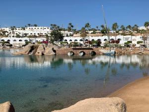 Domina Coral Bay Sultan 3