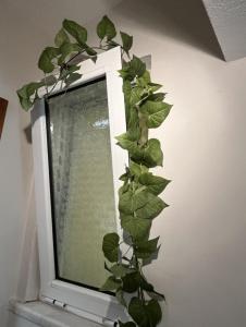 Anastasias Garden - Green Apartment