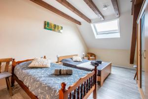 Appartements Route des vins d-Alsace, domaine viticole -Pinot Gris- : photos des chambres