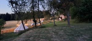 Mini camping La Maison Rose
