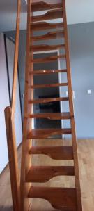 Apartament w Jeżowie Sudeckim