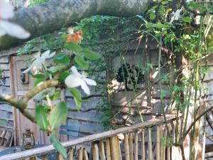 Jardin Rêveur la cabane La tête dans les étoiles