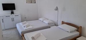 Apartmani Aleksandar Rudinac Čanj