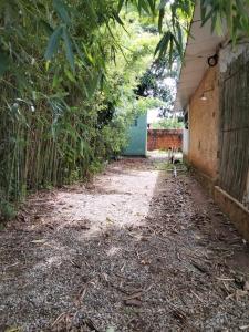 Estúdio Bambuzal no Centro