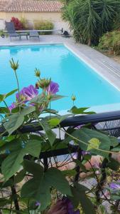 B&B / Chambres d'hotes La Gouillette en Camargue : photos des chambres