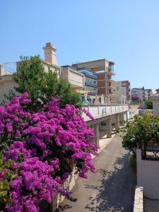 Apartments Vila Kurtagic
