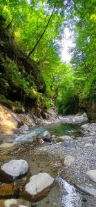 Casa Castagno e Ruscello - Nature Retreat in Liguria