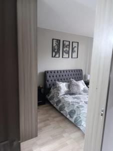 apta estudio 406 norte de armenia