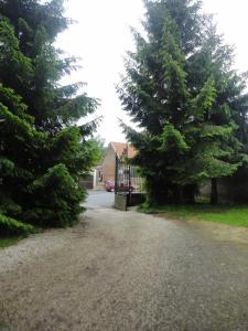 Maisons d'hotes Manoir le Louis XXI : photos des chambres