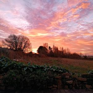 Maisons de vacances maison bretonne plage a pied : photos des chambres