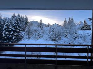 Appartement T2 à Torgon