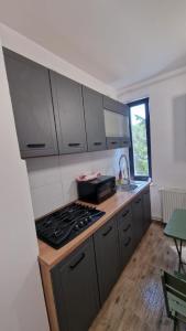 Apartment Ultracentral Pitesti
