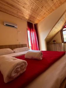 Guest House Shtëpiza Theth