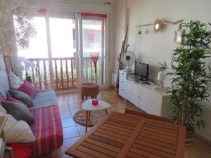 Appartements Studio IZAR Coeur de Plage - Parking - Classe 2 etoiles : Appartement 1 Chambre