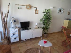 Appartements Studio IZAR Coeur de Plage - Parking - Classe 2 etoiles : photos des chambres