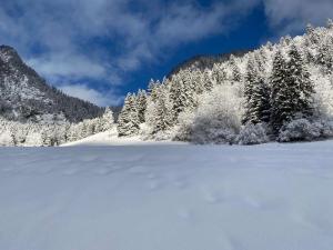 Studio 2 personnes à Torgon