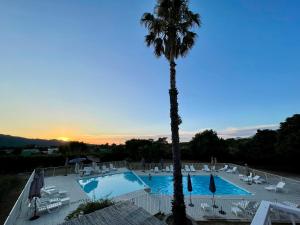 Appartements SAINT FLORENT studio terrasse 2 a 3 personnes calme avec piscine au sel : photos des chambres