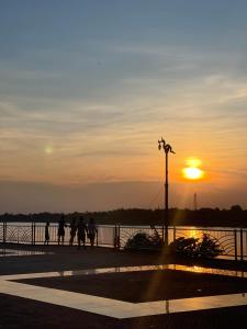 wooden tree nongkhai