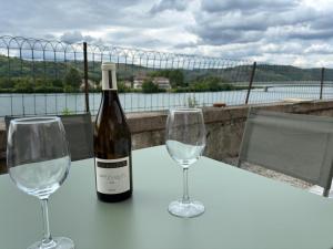 Appartements L-Escale du Rhone de 1 a 8 personnes : photos des chambres