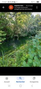 Mobilhome du Ried Europapark gîte