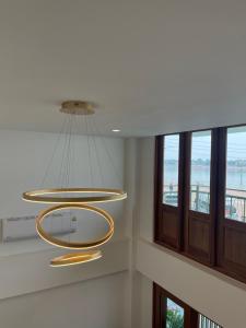 wooden tree nongkhai