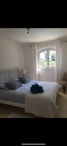 Villas Magnifique villa avec piscine : photos des chambres