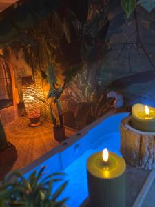 B&B / Chambres d'hotes Lodge de la Jungle avec Spa : photos des chambres