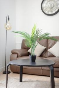 Appartements Le Saint Fiacre : photos des chambres