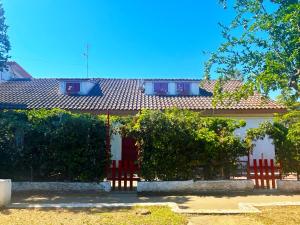 Case Vacanze a Rossano