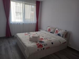 Apartament AMNA Rasnov