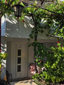 Bozovic Apartments I