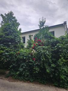 Apartament Ewa Gdynia Orłowo