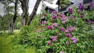 Chata Pod Koberštejnem - Rejvíz