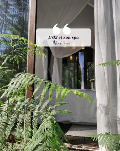 LO2 et son Spa, cabane de verre et de bois