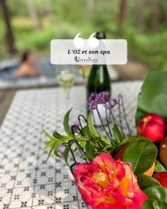 LO2 et son Spa, cabane de verre et de bois