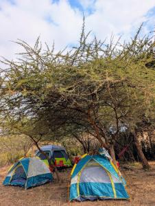 Olemayian Amboseli Cottages