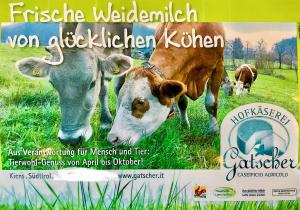 Gatscherhof Retreat - Family Appartement img6