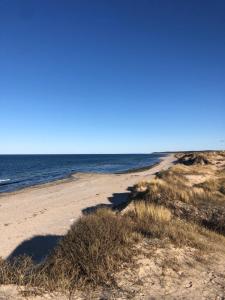 Liseleje sommerhus på naturgrund