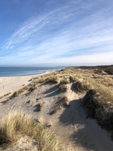 Liseleje sommerhus på naturgrund