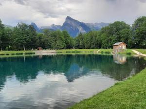 Appartements Charmant duplex a Morillon, proche telecabine et lac bleu, ideal vacances montagne - FR-1-642-54 : photos des chambres