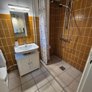Studiolejlighed I Hvide Sande Centrum