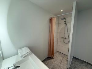 Luxurious Odense Apt