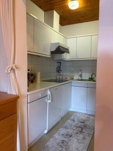 Alpine Sun apartment 