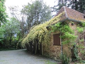 B&B / Chambres d'hotes Chambres d'Hotes Closerie du Guilhat : photos des chambres