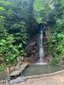 SkyDoor_ცისკარი