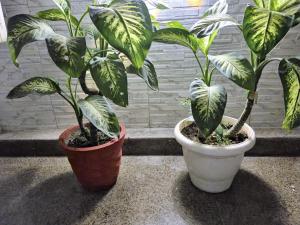 Sleek City Retreat with Kitchen l Near Airport